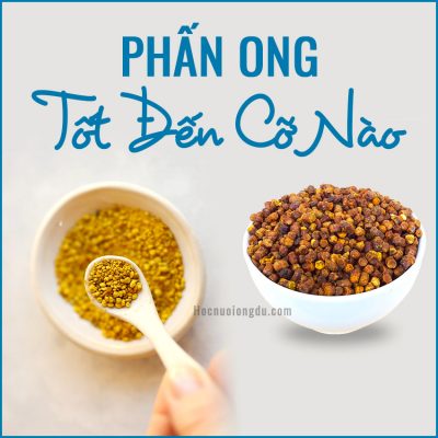 phấn ong dú